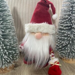 Père Noël